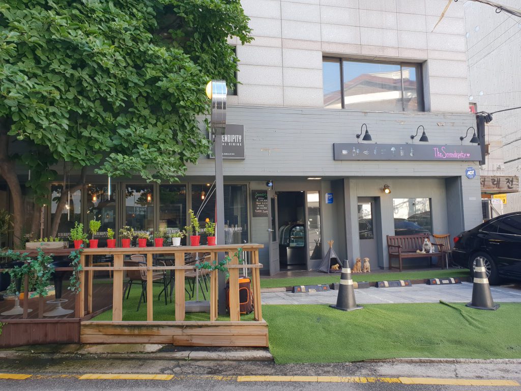 서래마을 애견동반식당 세렌디피티