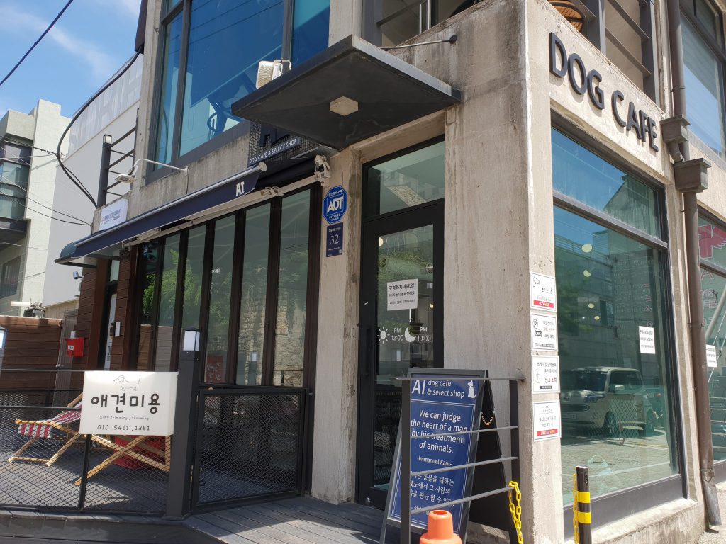 애견카페 에이아이