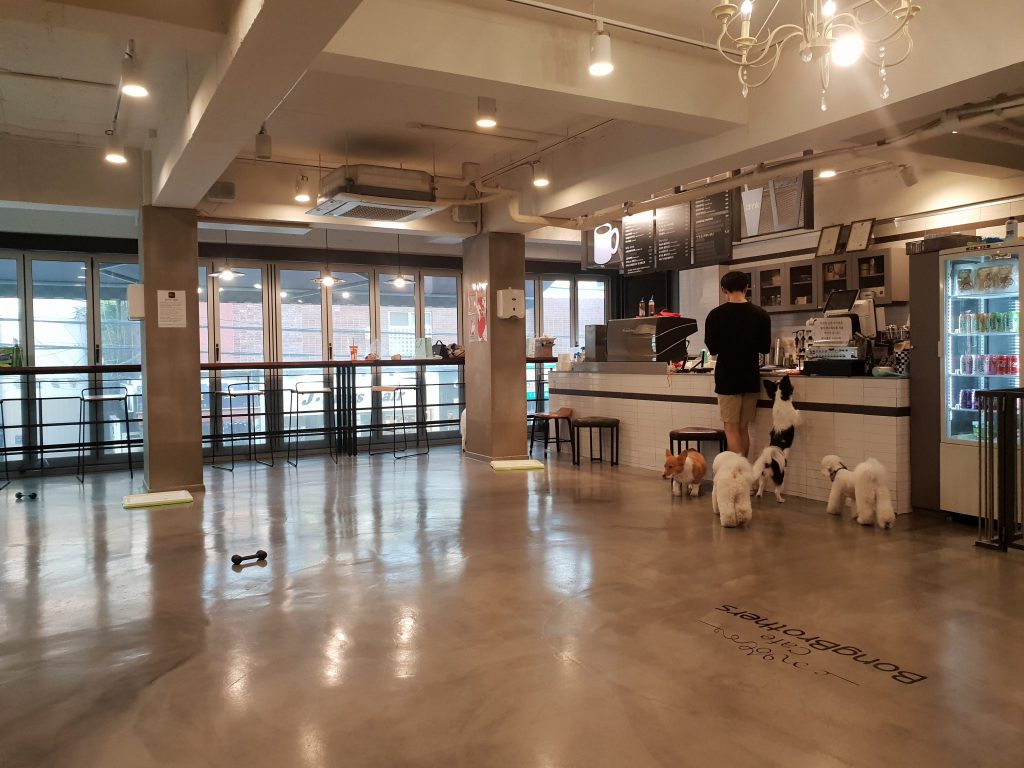 애견카페 봉브라더스