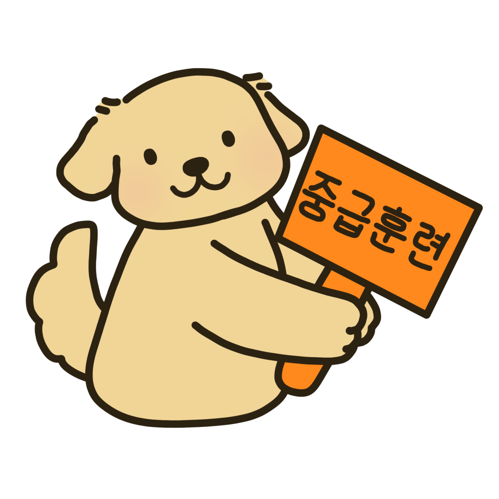 강아지 중급 훈련