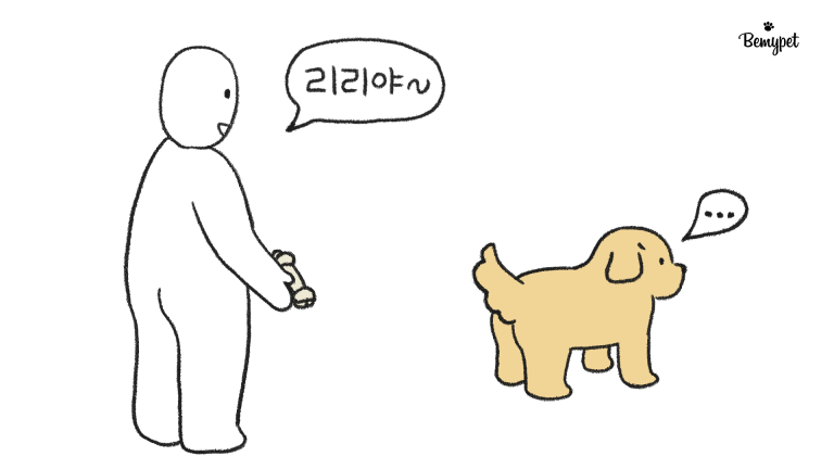 강아지 이름 훈련