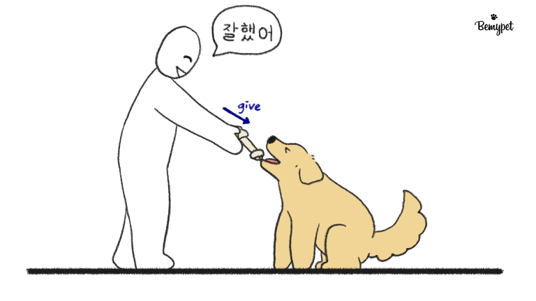강아지 앉아 훈련