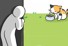 길고양이