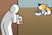 길고양이 사료