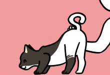 고양이 궁디팡팡
