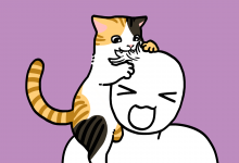 고양이 머리카락