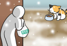 길고양이 밥 주기
