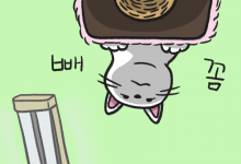 고양이 빤히