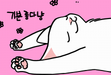 고양이 자는 모습