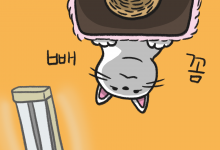 고양이 방