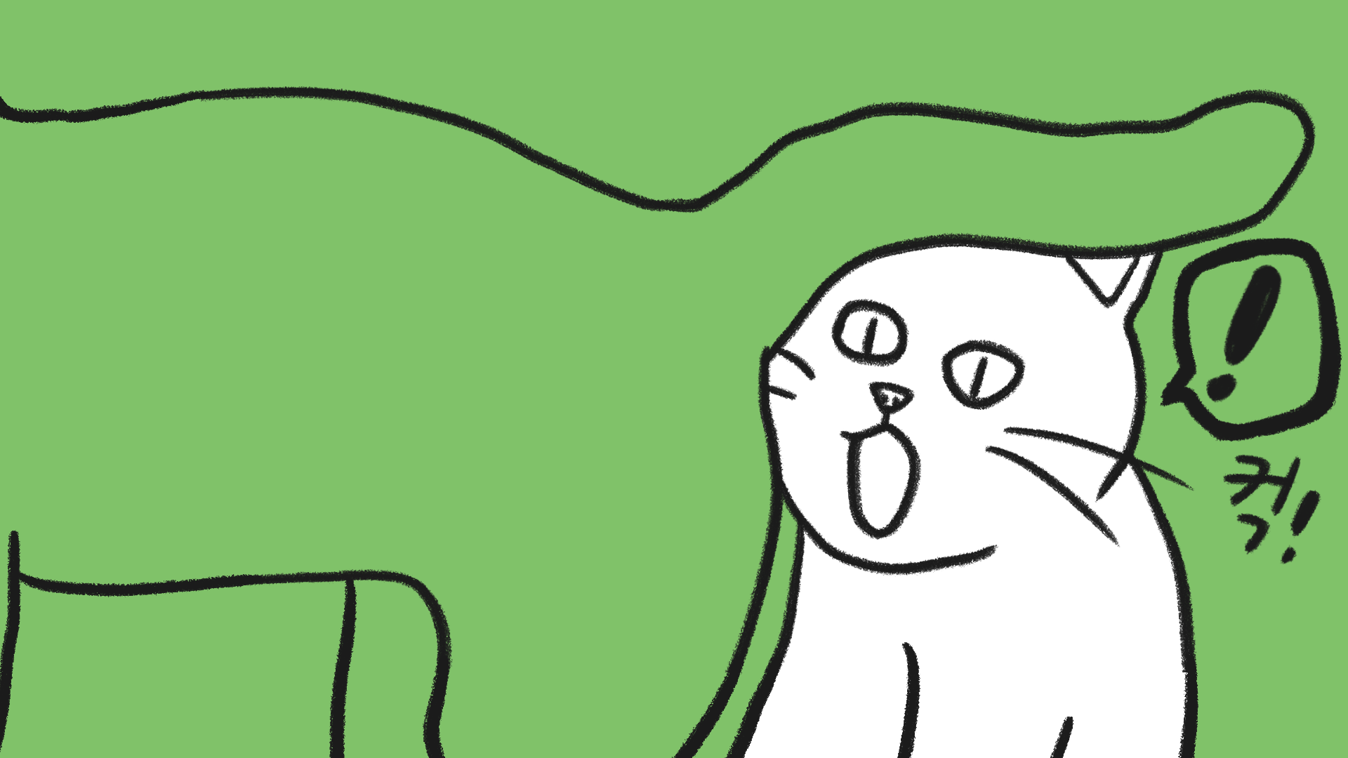 고양이 항문 냄새? 항문낭 관리 방법 – 비마이펫 라이프