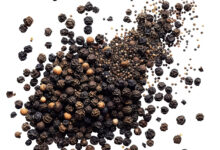 강아지 후추 먹어도 될까?