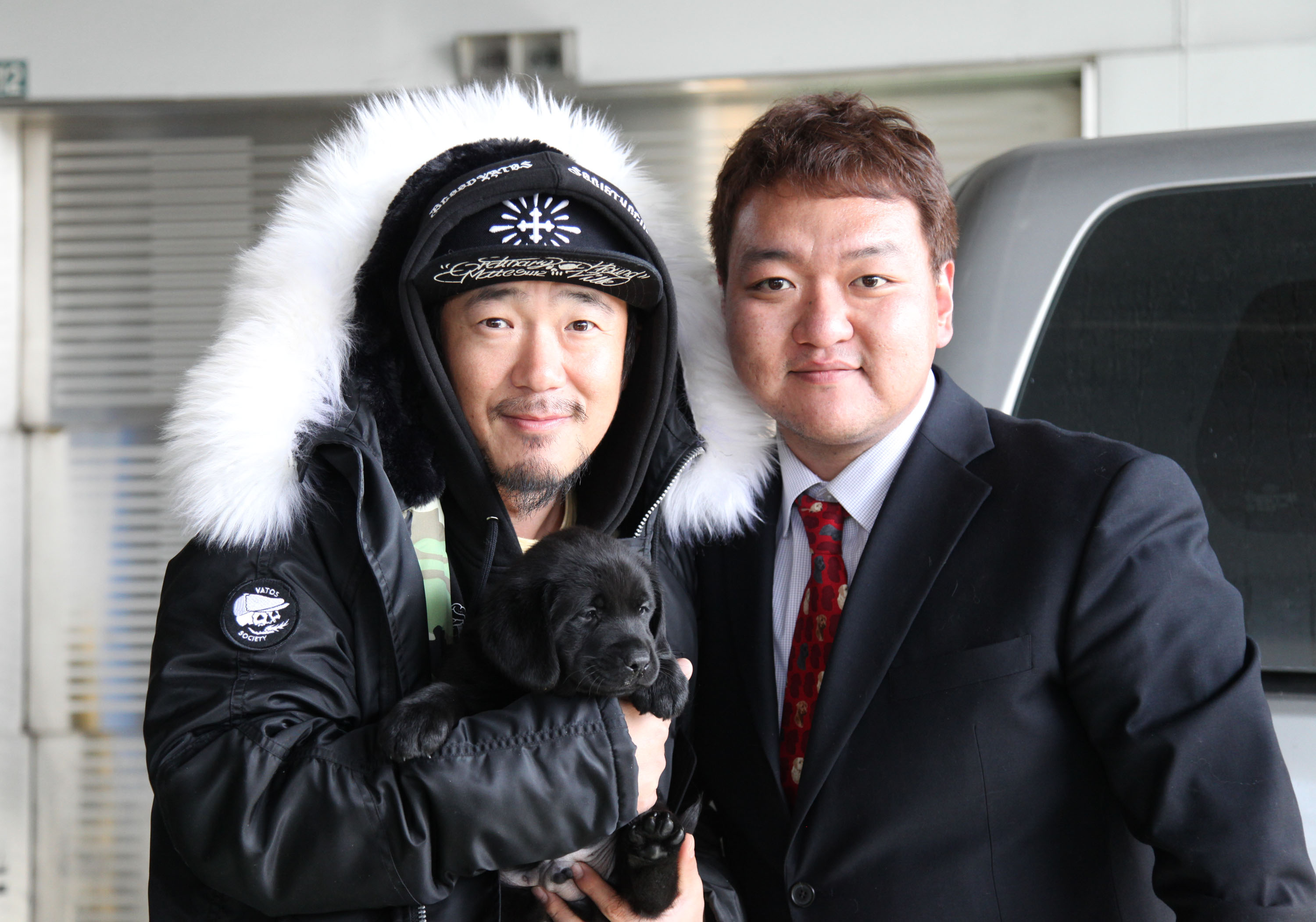 래브라도리트리버
